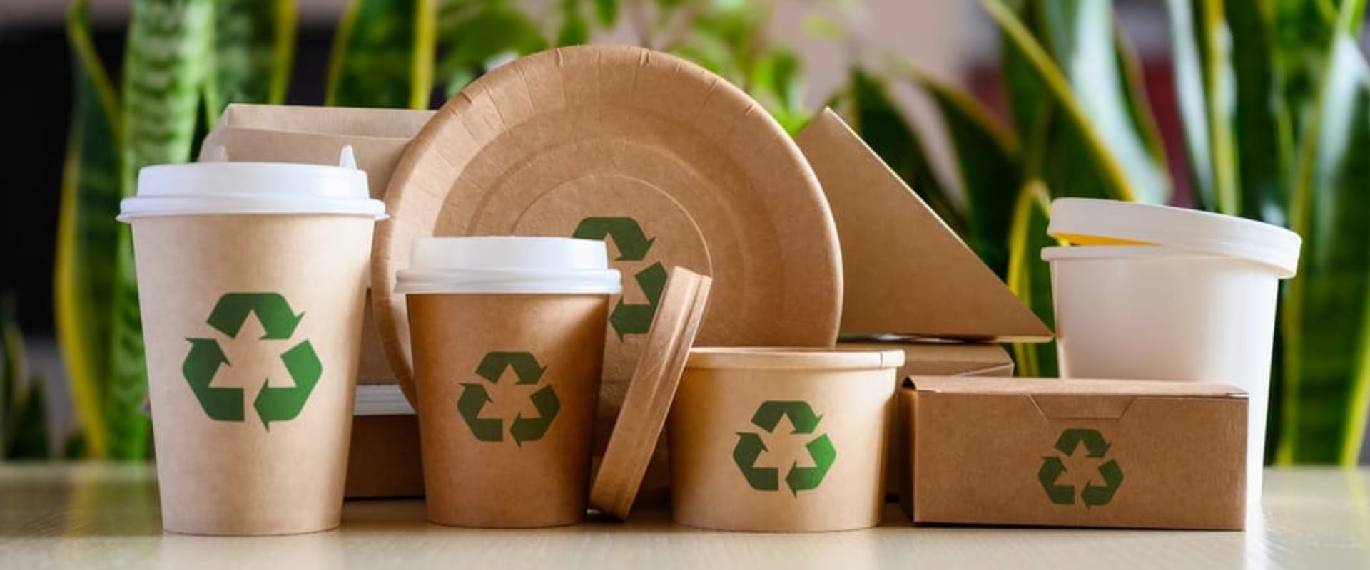 Sustainable Choices: Eco-Friendly Alternatives for Household Paper Products